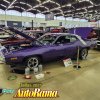 IMG_3681.jpeg